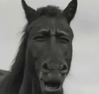 AutisticRobot tweet media