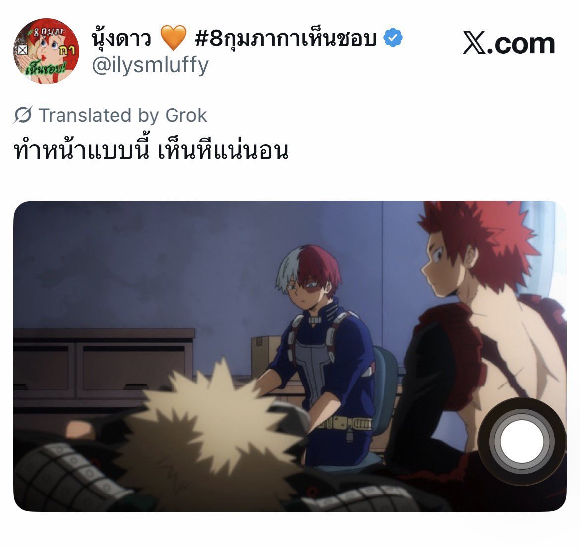 แมว tweet media