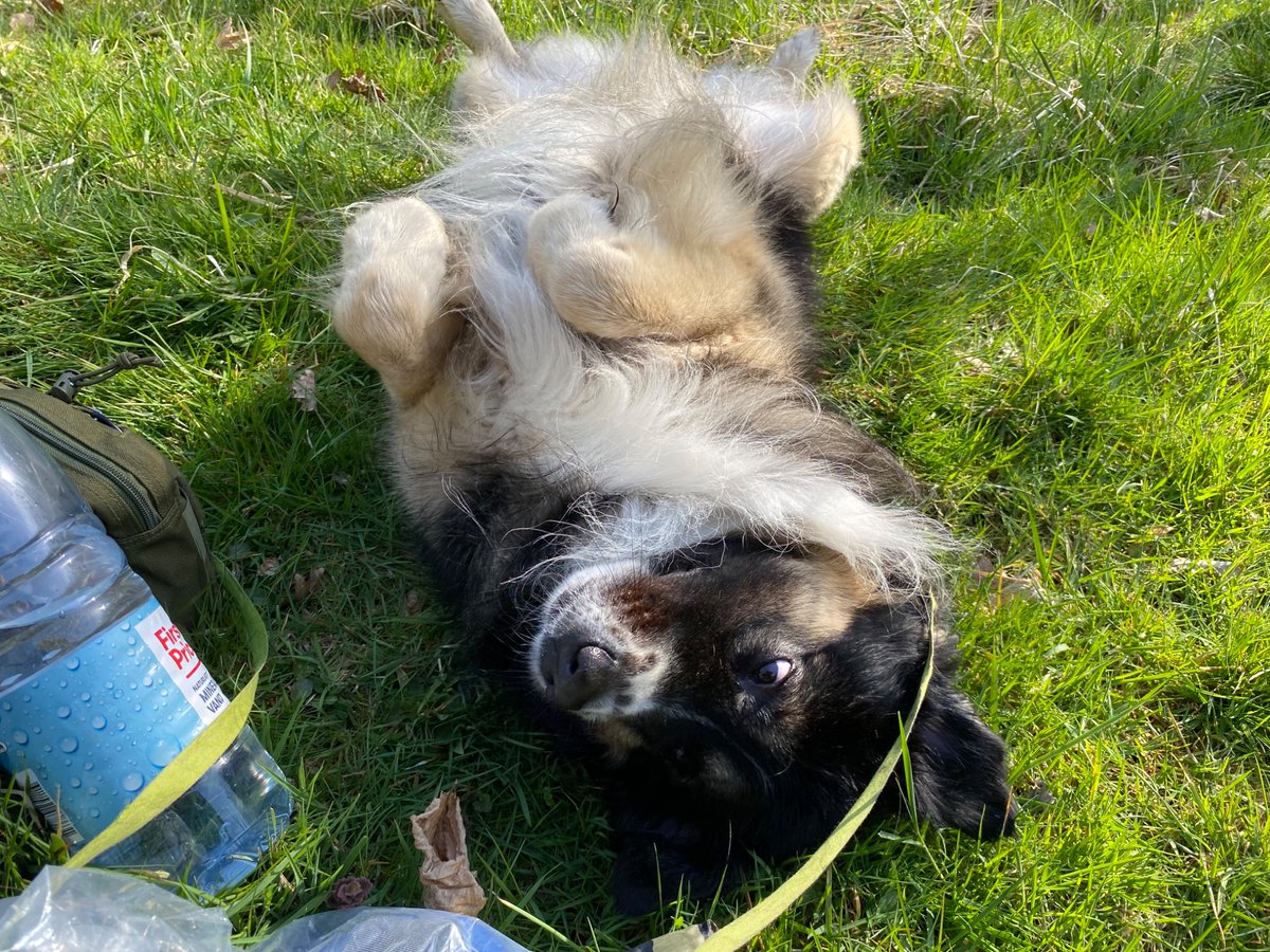 Foto van de dag