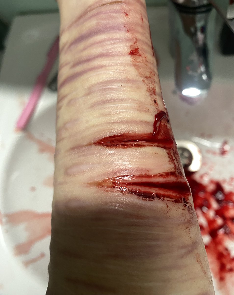 isabella / rag doll of shedtwt 🪽 tweet media