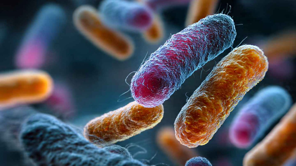 yourhealthstyl's tweet image. Shigella infection spreads fast through contaminated food, water, and poor hygiene. It can cause severe diarrhea, stomach cramps, and fever if ignored.

Learn symptoms, causes, and prevention:
 yourhealthstyle.com/shigella-infec…

#ShigellaInfection #PublicHealth #DigestiveHealth