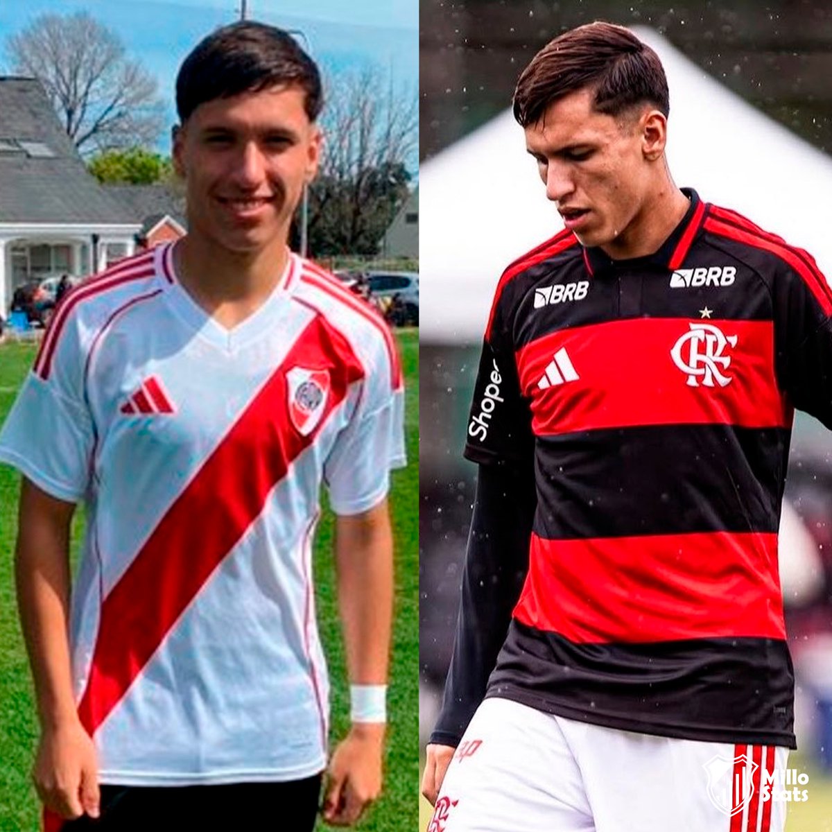 Millo Reserva tweet media