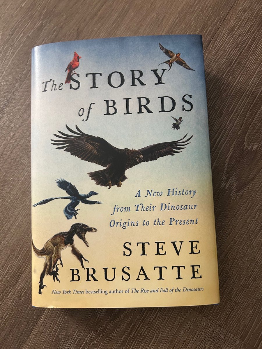 Steve Brusatte tweet media