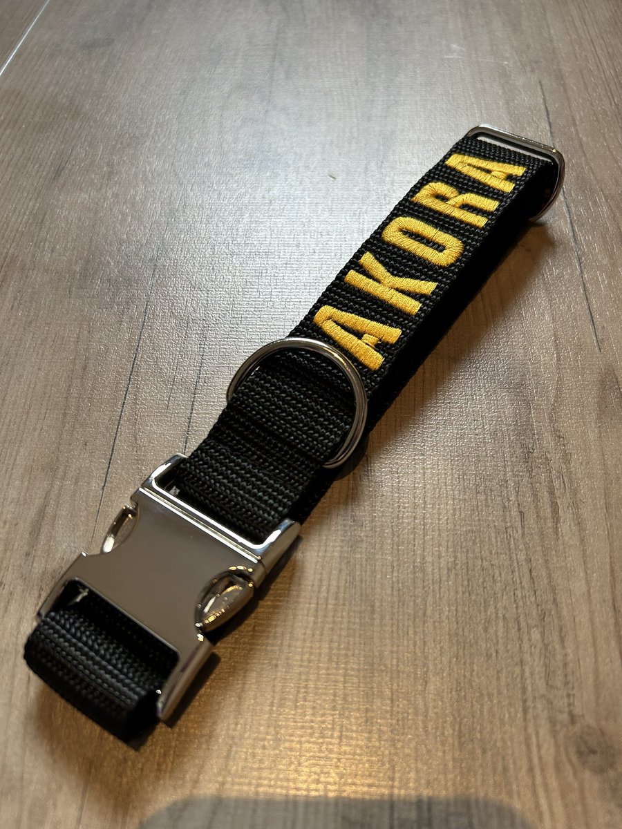 ToonyStuff's tweet photo. A collar without padding. 
You can find it here. 
To design your own. 

https://t.co/Zszbq5wX4U https://t.co/B3lgZ2ePVI