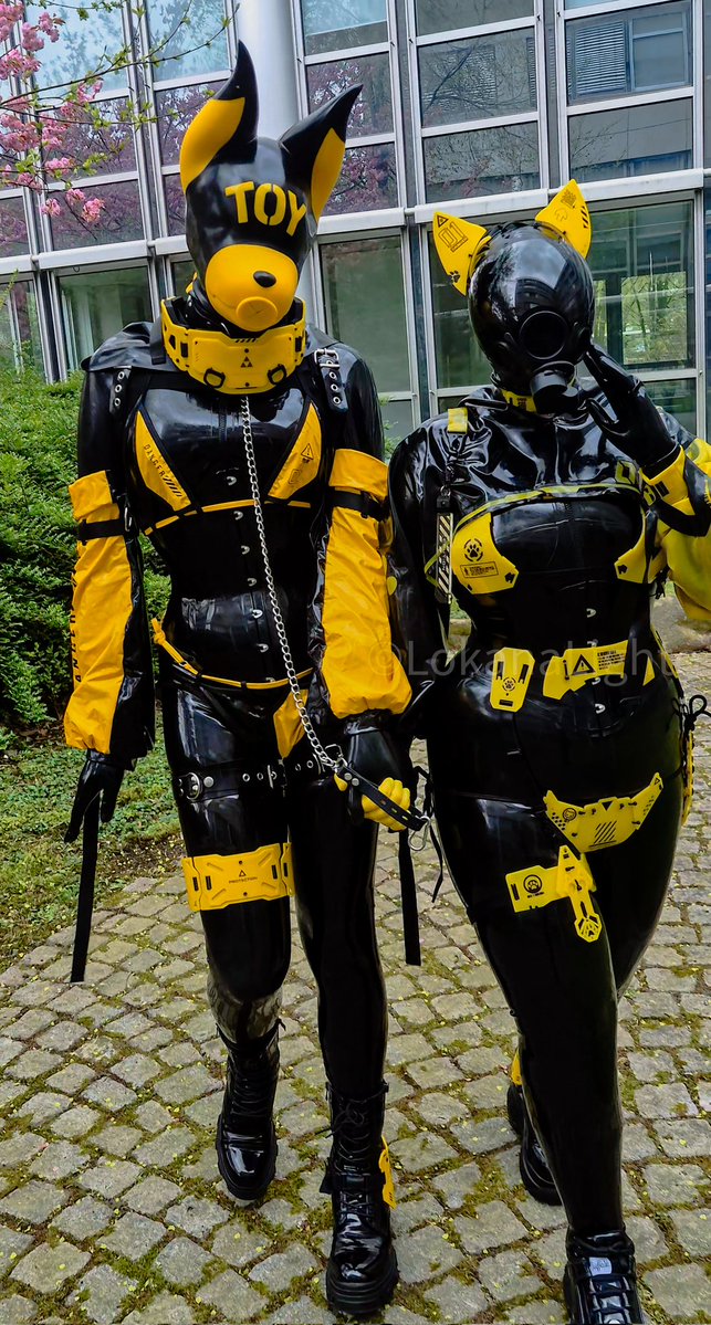 Going on a walk with my cute toy puppy