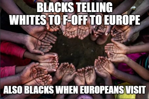 Neanderthal Coder tweet media