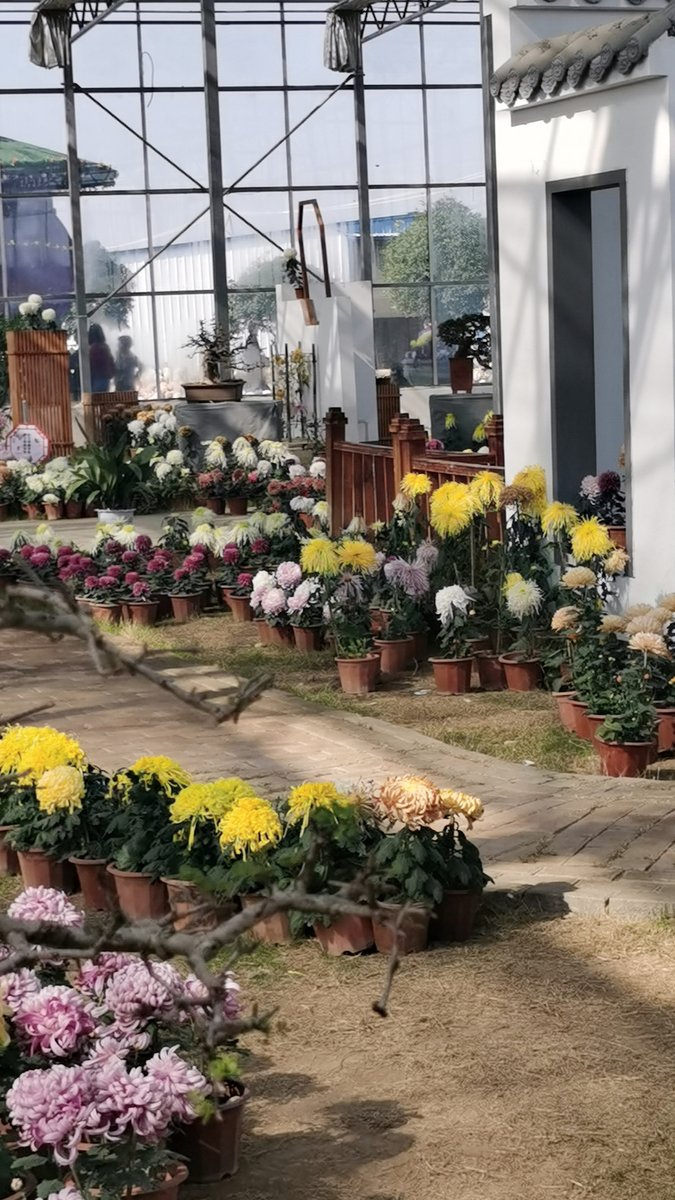 sportslit tweet media