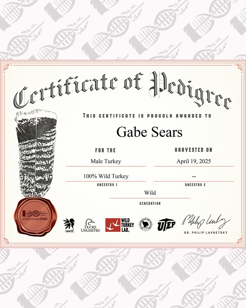 wildturkeyDNA tweet media