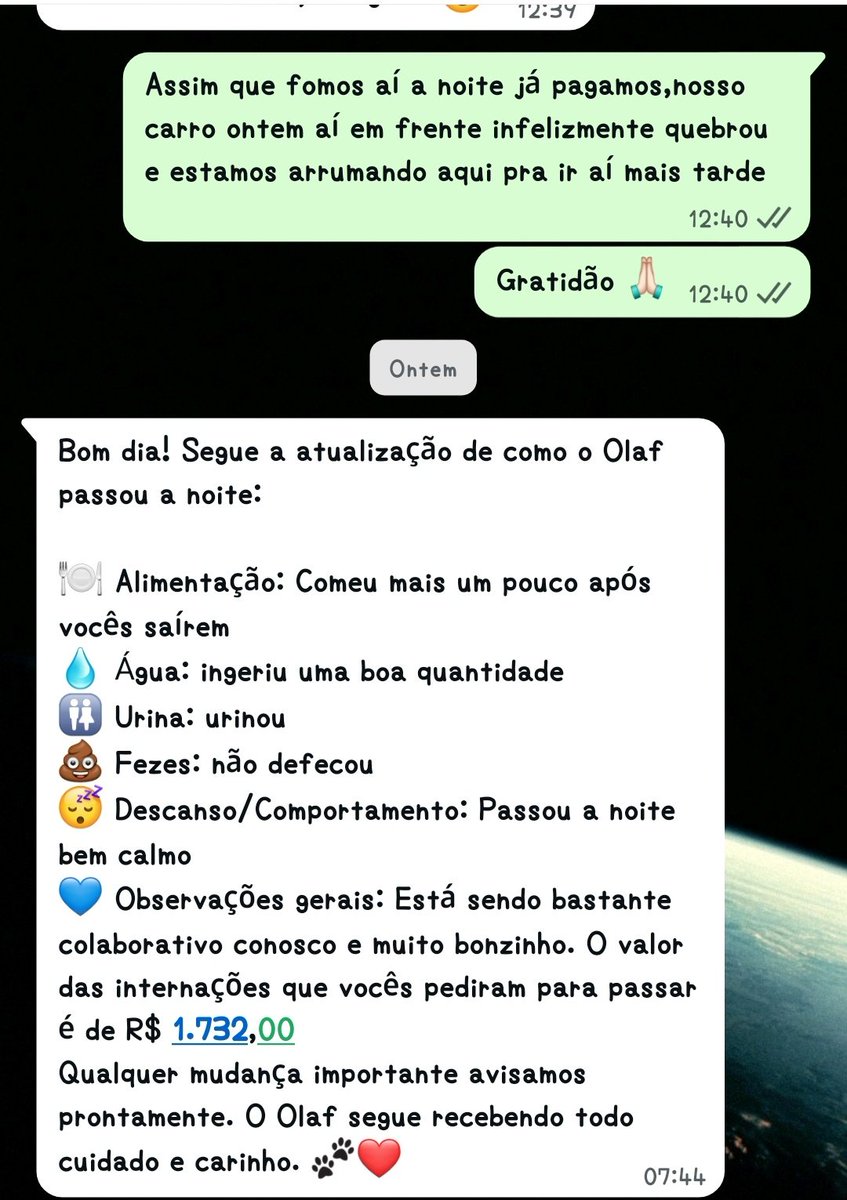 Cachorro da FIEL 🐶 tweet media