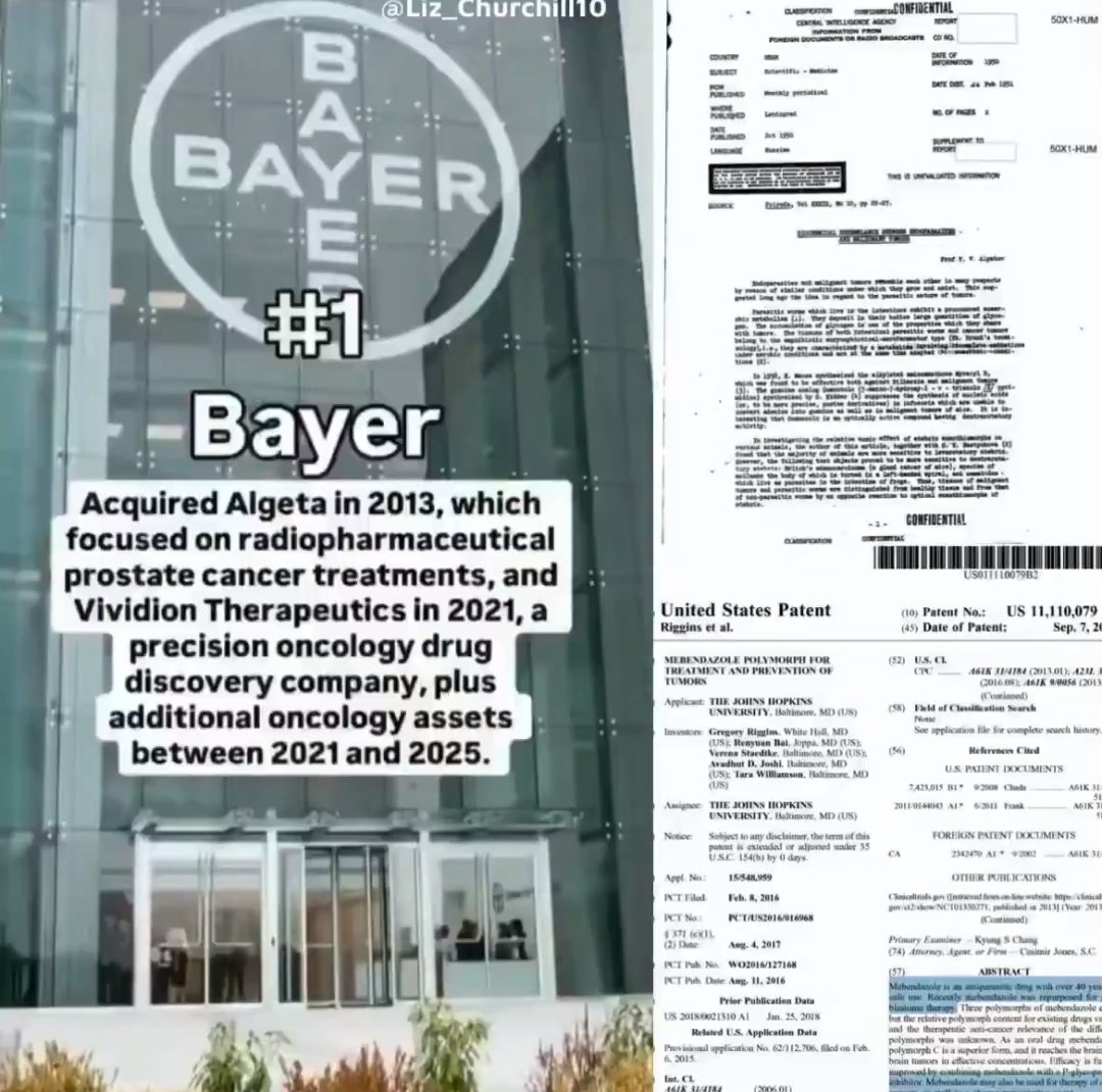 5G Virüs News - Platformu tweet media