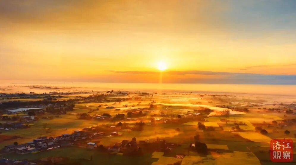 samuel whyte tweet media