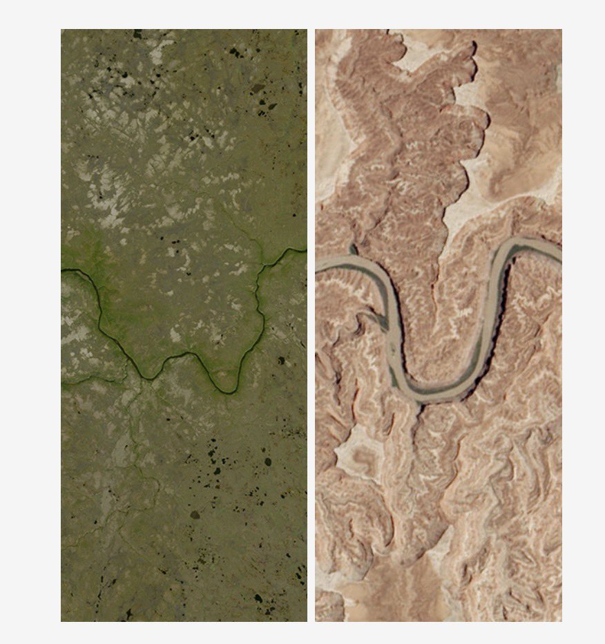 𝓯𝓵𝓸𝓻𝓲 📿 wu era tweet media