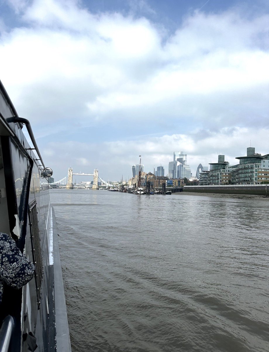 Moonlight Adventures tweet media