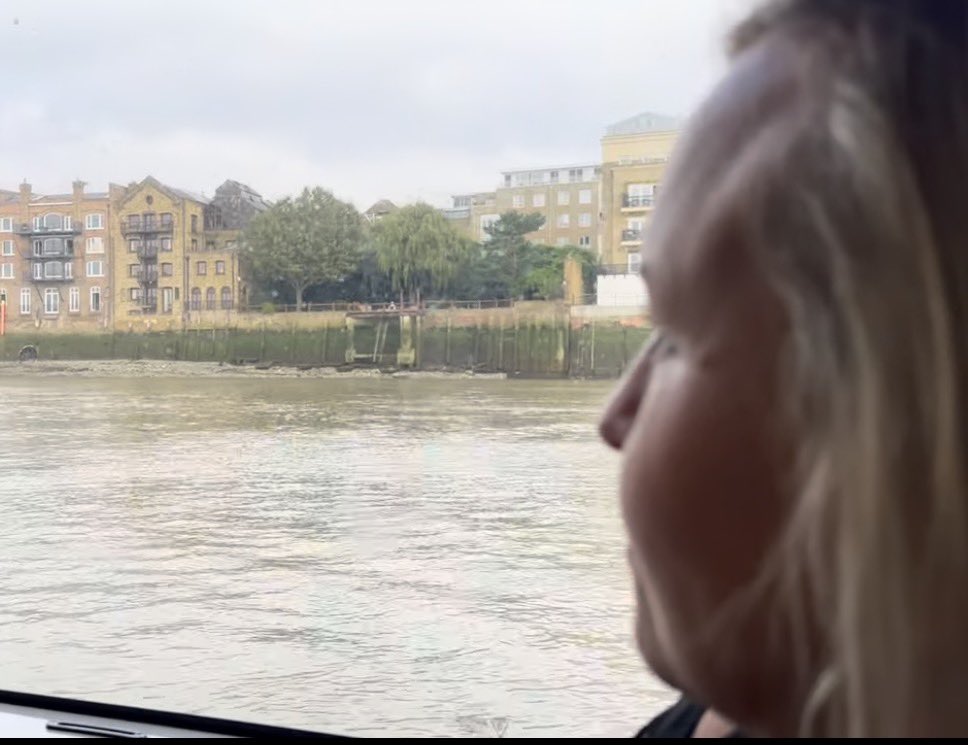 Moonlight Adventures tweet media