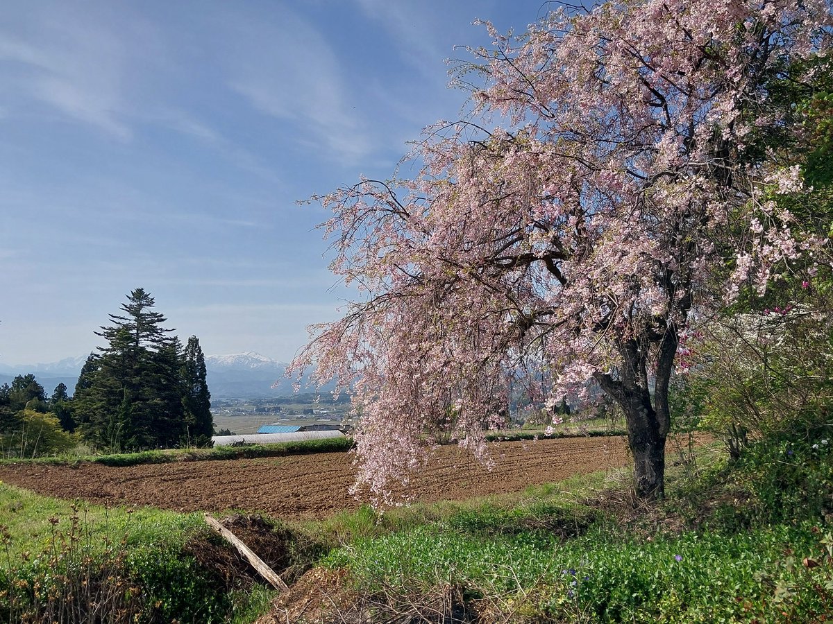 NYU__TORARU's tweet photo. 旅行好きなら共感してくれる人も多いと思うんだけど、左の「見せるために作られた景色」よりも右の「人の暮らしの中で自然に出来上がった景色」の方が好きなんだよな
もちろん左も綺麗だとは思うんだけど、人のエゴで都合よく作られた景色って感じがして、イマイチ好きにはなれない https://t.co/1NyD2198qV