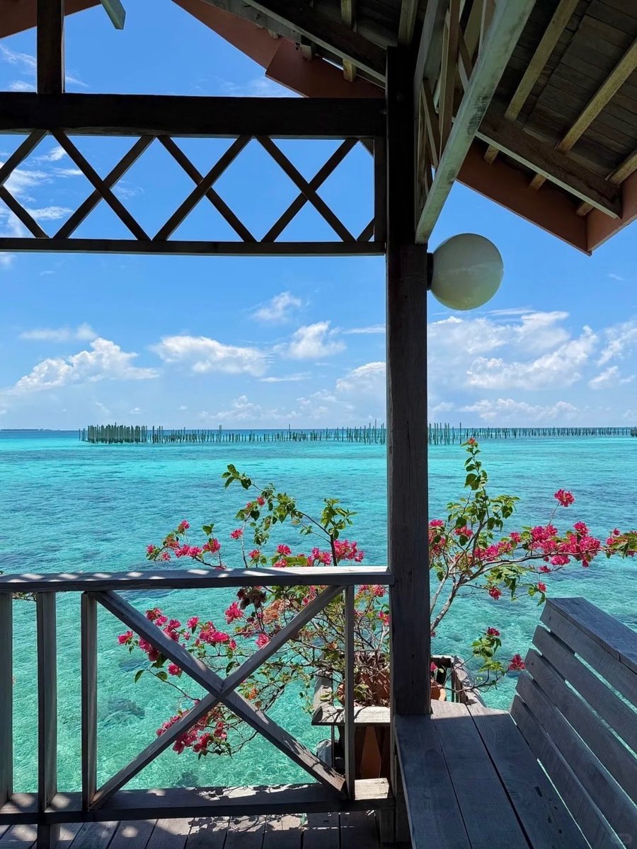 sekar wangi tweet media