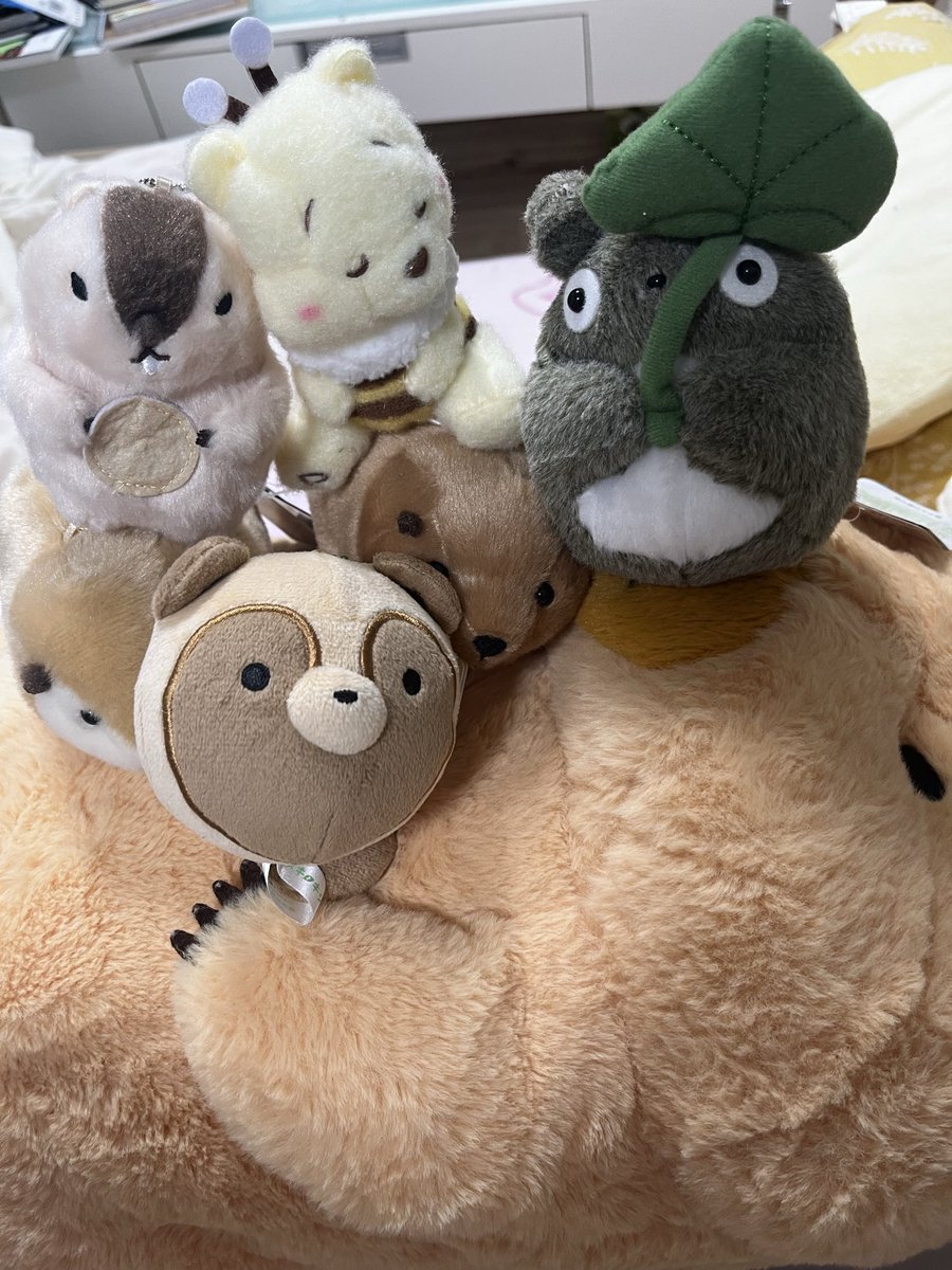 いっちー(巣穴から出たり入ったりしてるよ) tweet media