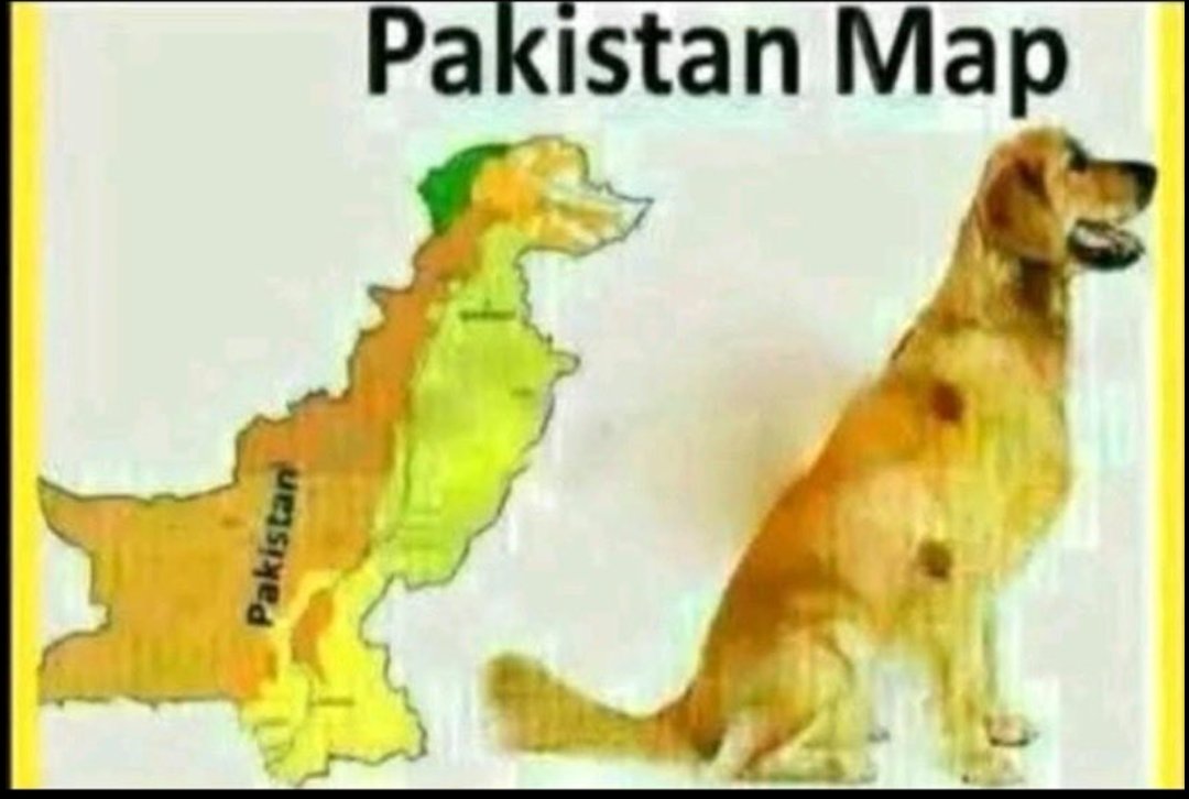 Someone from Bharat 🇮🇳 tweet media