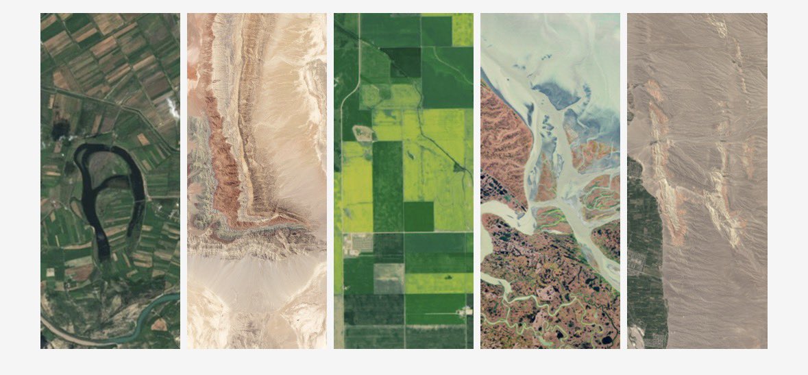 AkhiTweet tweet media