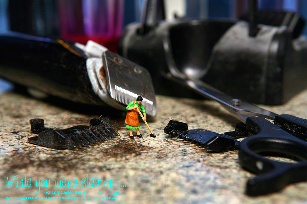 OfficialNeoichi's tweet image. Gladys couldn’t help but wonder if the hair was from a bikini cut.

#macrophotography #tinypeoplephotography #bikinicut #tabletopphotography #hairtrimmer

whileyouweresleeping.photography