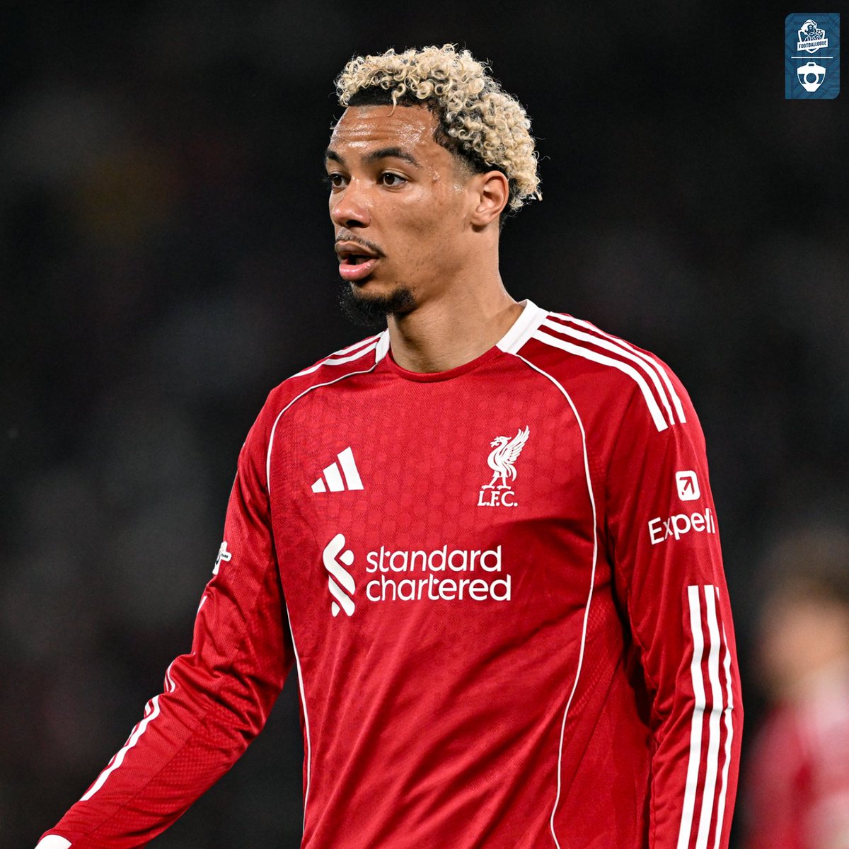 Footballogue tweet media