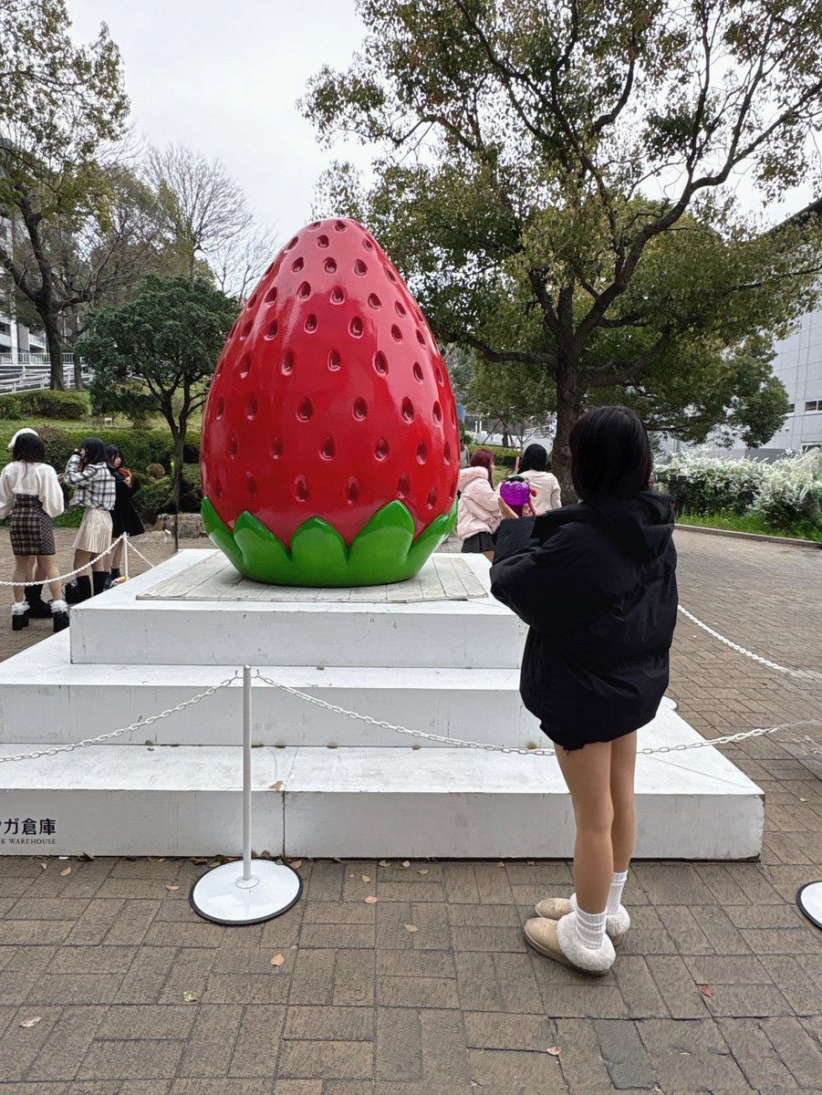 _x_39__'s tweet photo. いちごだーいすき✨✨
#strawberryfes  #afternoontea https://t.co/vSTnyzNqwT