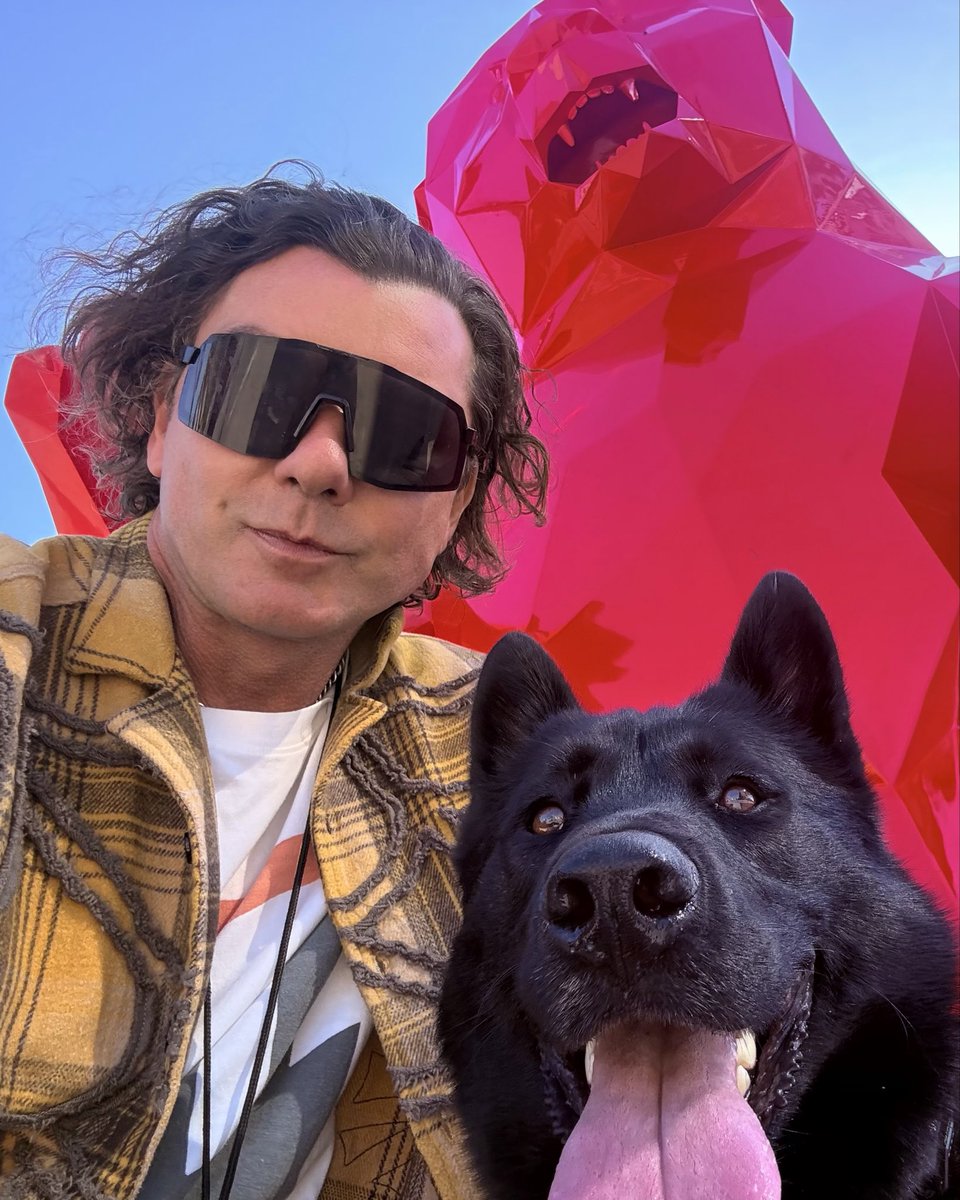 GAVIN ROSSDALE tweet media
