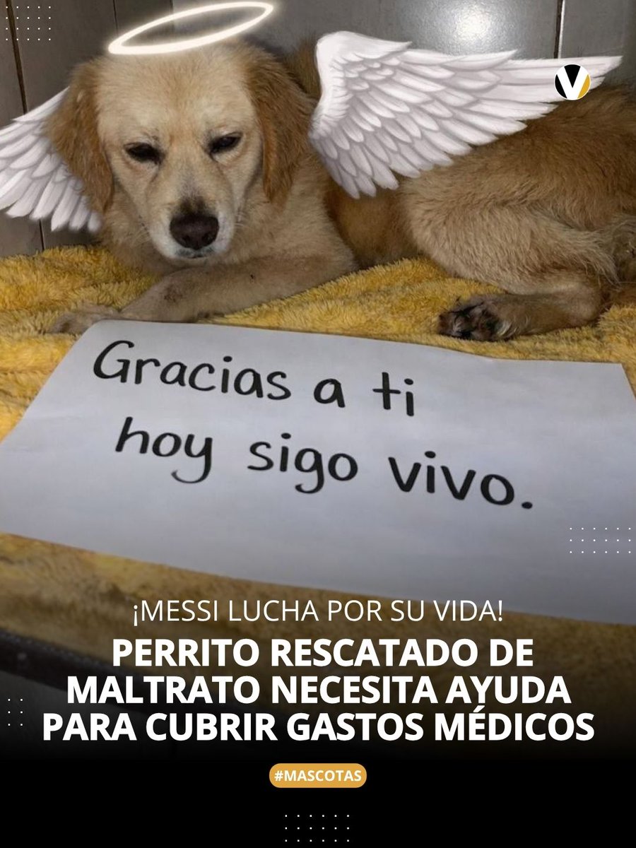 Revista Vistazo tweet media