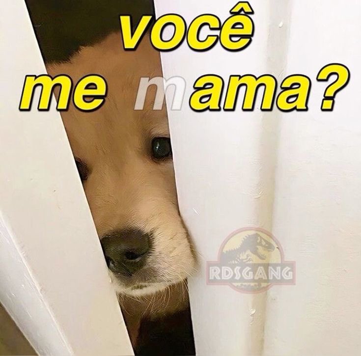 magrinhogostoso tweet media