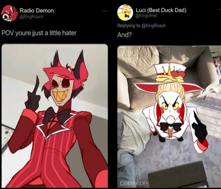 🦐Mr-Red-Shrimp🦐 tweet media