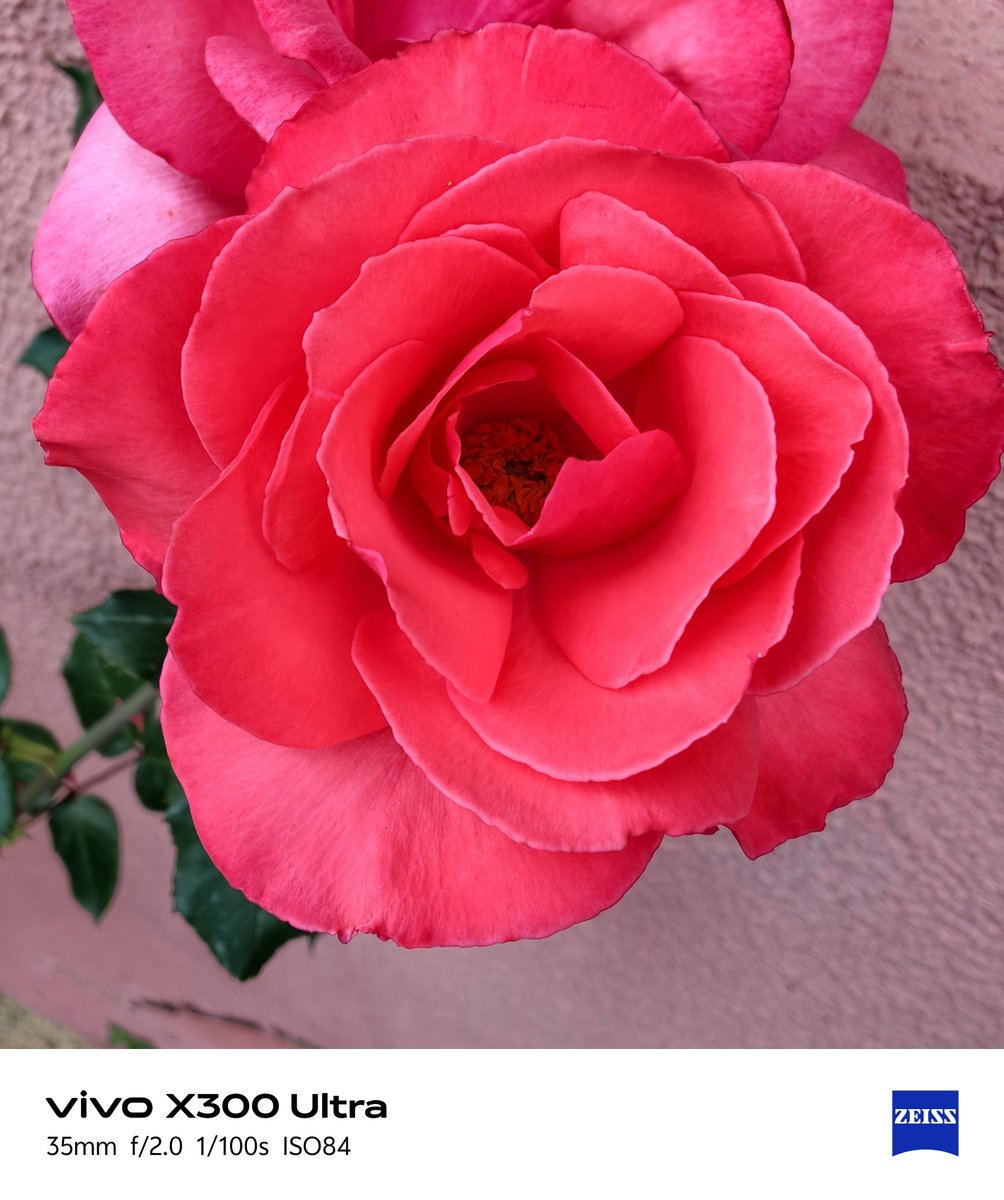 killoagp's tweet photo. #vivo #x300ultra https://t.co/IxDLjatf7Z