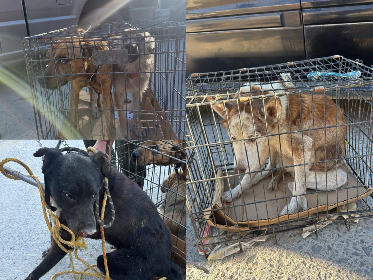 Alfredo Alvarez tweet media