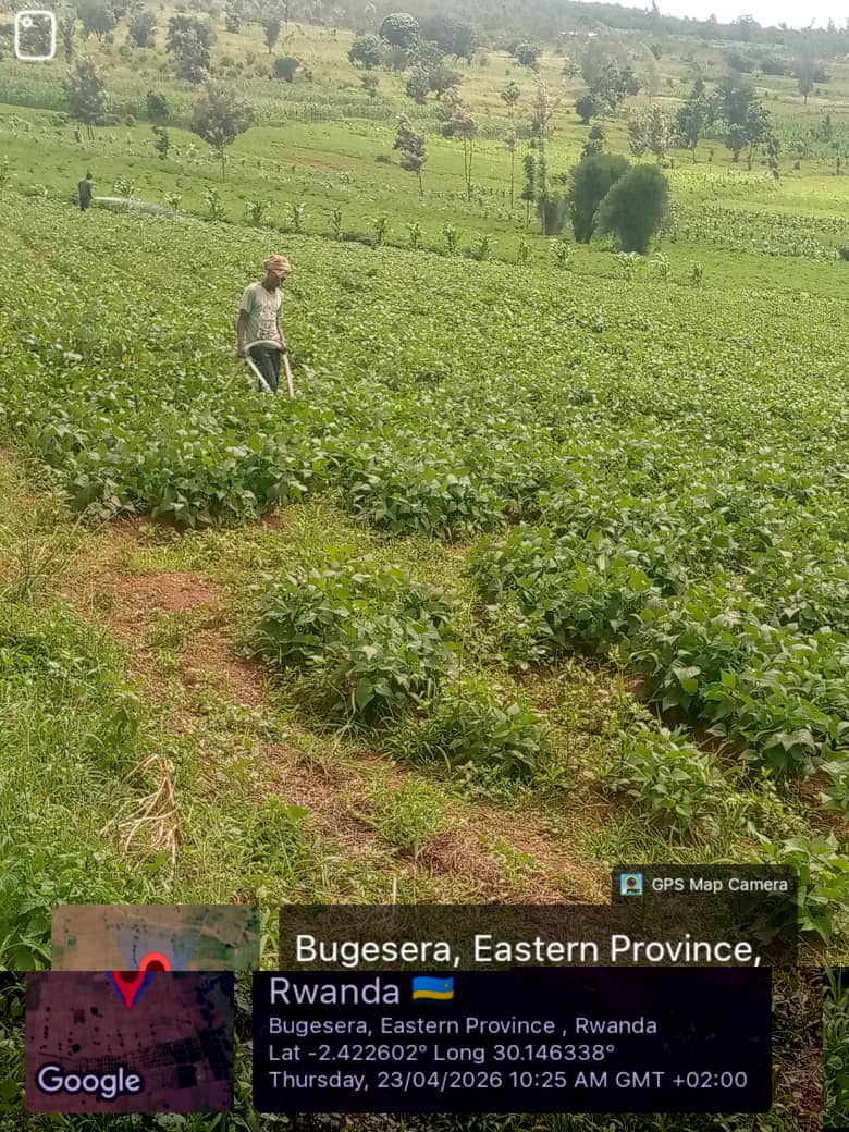KWIGIRA 3600 FOUNDATION (K3600F) tweet media