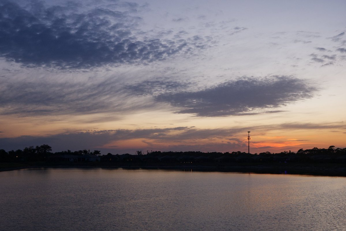 David K 🤔 tweet media