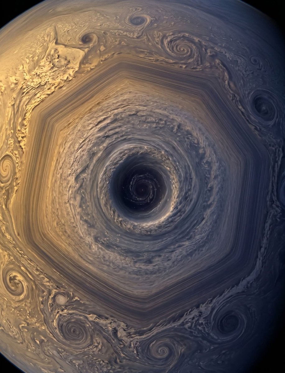 Sci_Explore tweet media