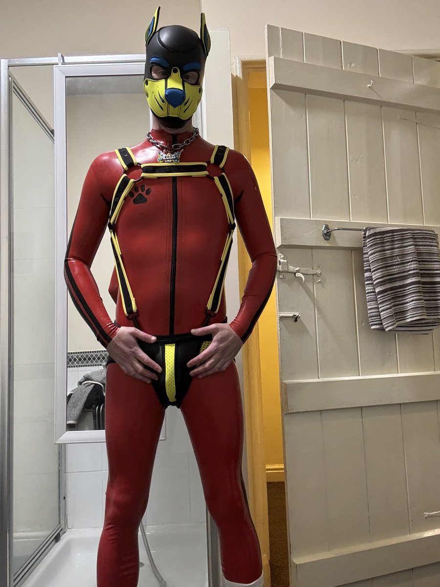 Helios Cobalt 🔜 Doggy Weekend 2026 tweet media