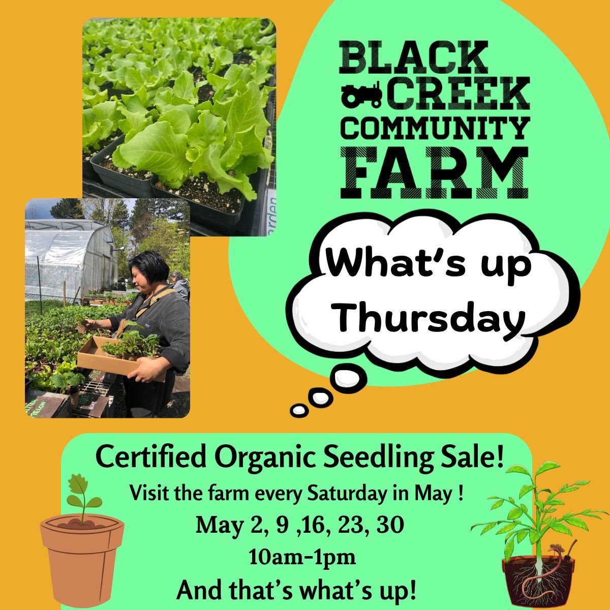 Black Creek Community Farm tweet media