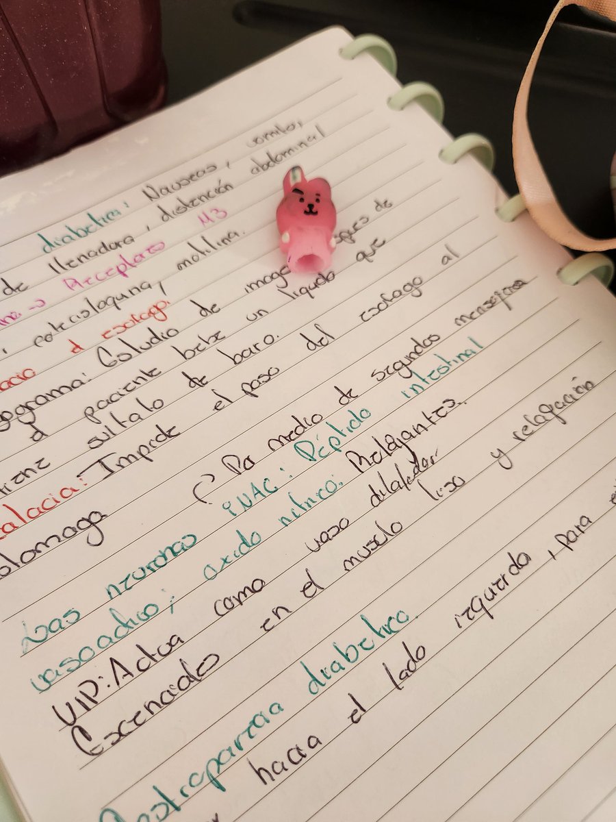 Somos Cooky y yo contra fisio