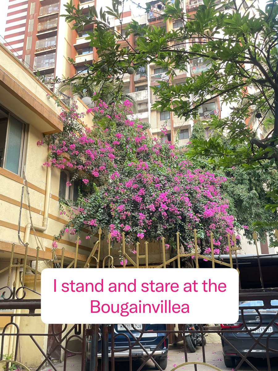 pusharma53's tweet image. April is like a sticky Candy. 

#summer