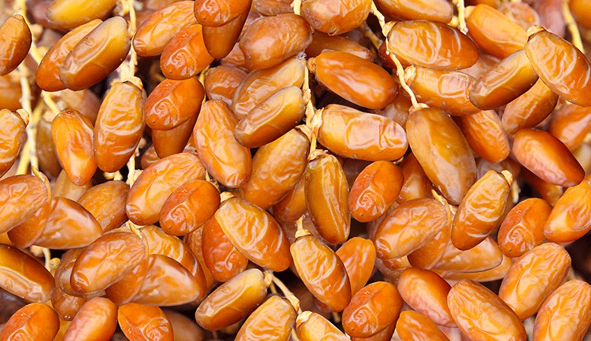 TapNewsAgency's tweet image. #Tunisia: Date exports hit 108,000 t worth TND 705 million as of April 10, reaching 94 markets, with record production of 404,000 t (surpassing 400,000 for 1st time) &amp;amp; strong growth trend but challenges remain (logistics, pricing), it emerged from data presented to #CNRD. #TAP_En