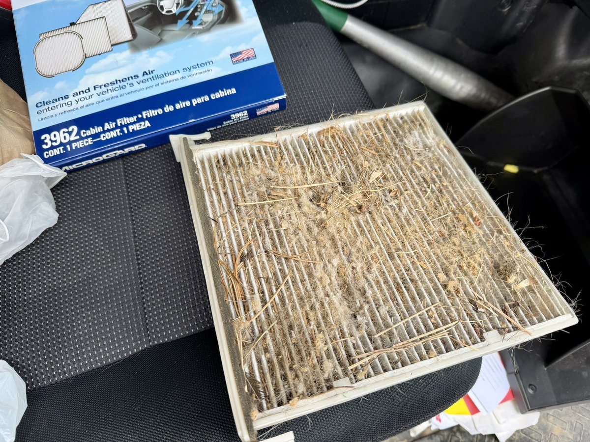 Sage of the Mountain tweet media