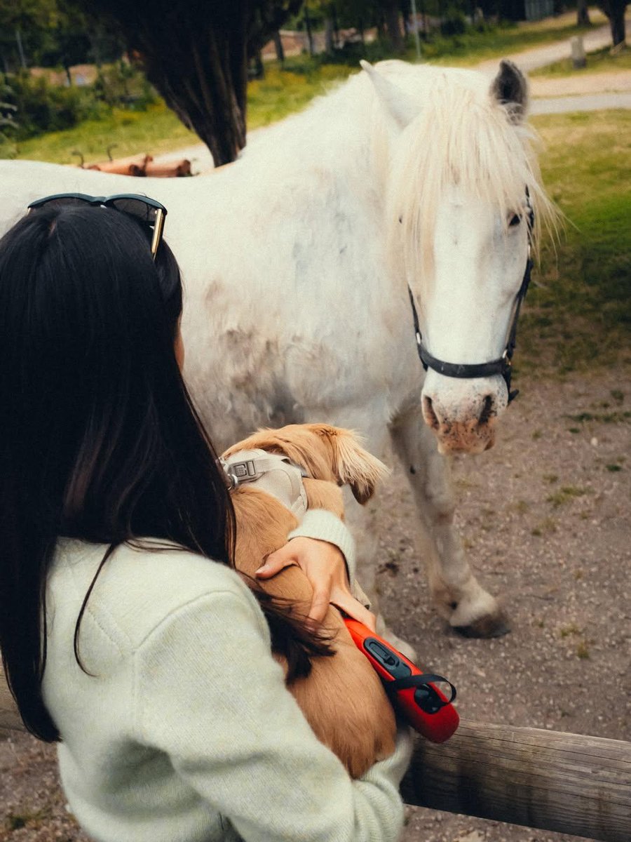 leo meeting a horse for the first time 😭