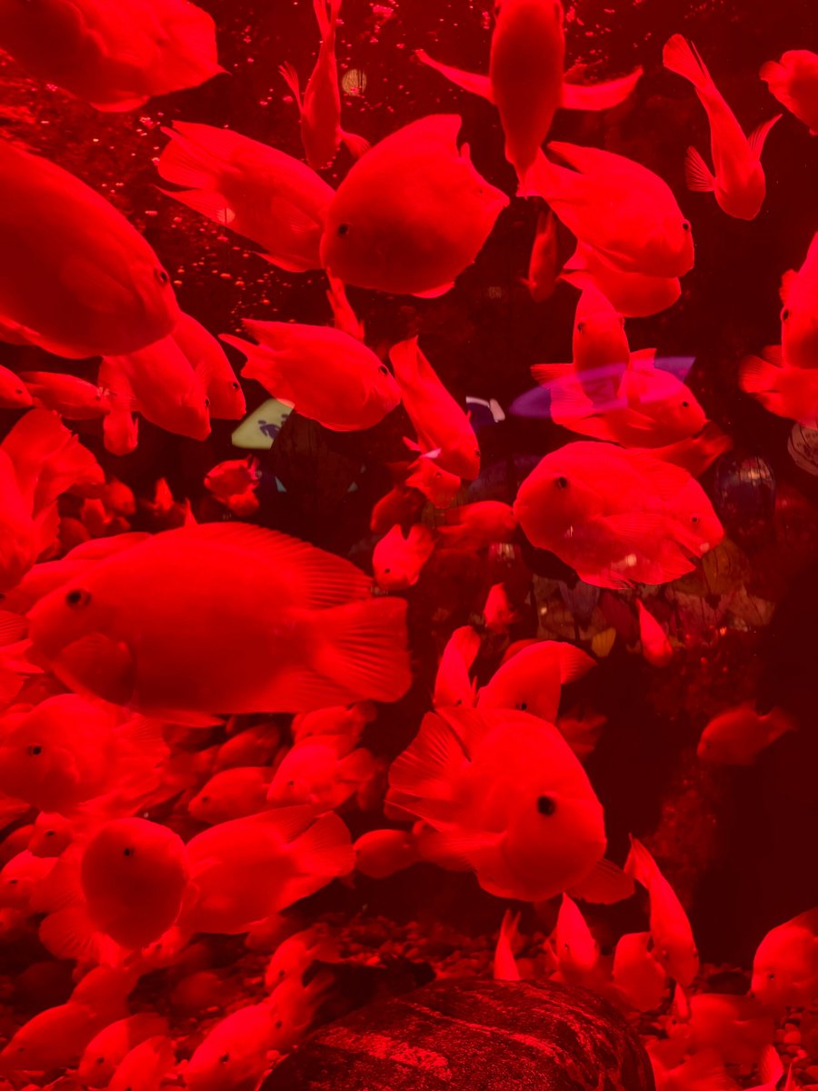 Dr. Green Thumb tweet media