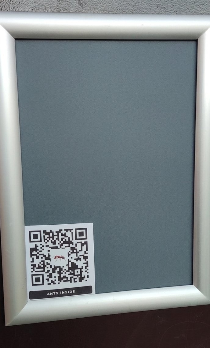 Nesters Kovalkovs tweet media