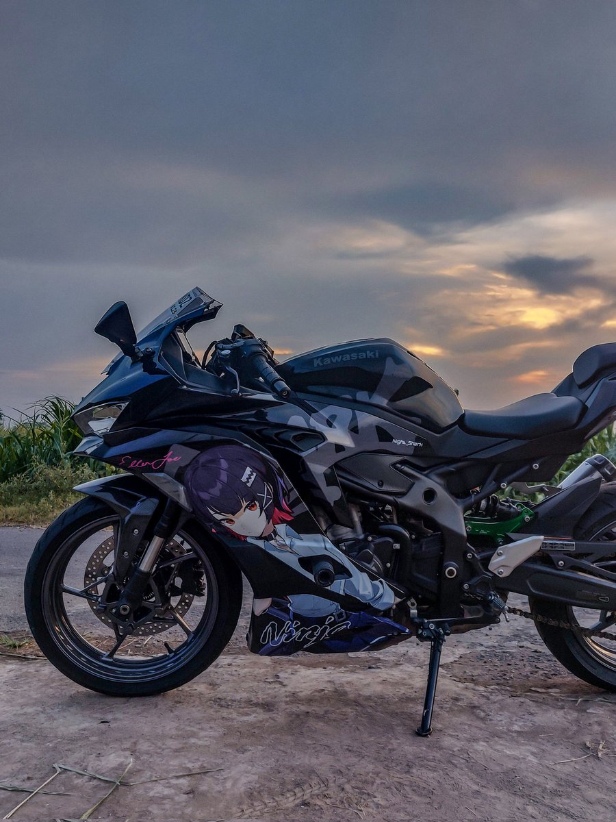 ArungLaksmana's tweet image. Night_Shark 📸

#zx25r #ellenjoe #motorcycle #itasha