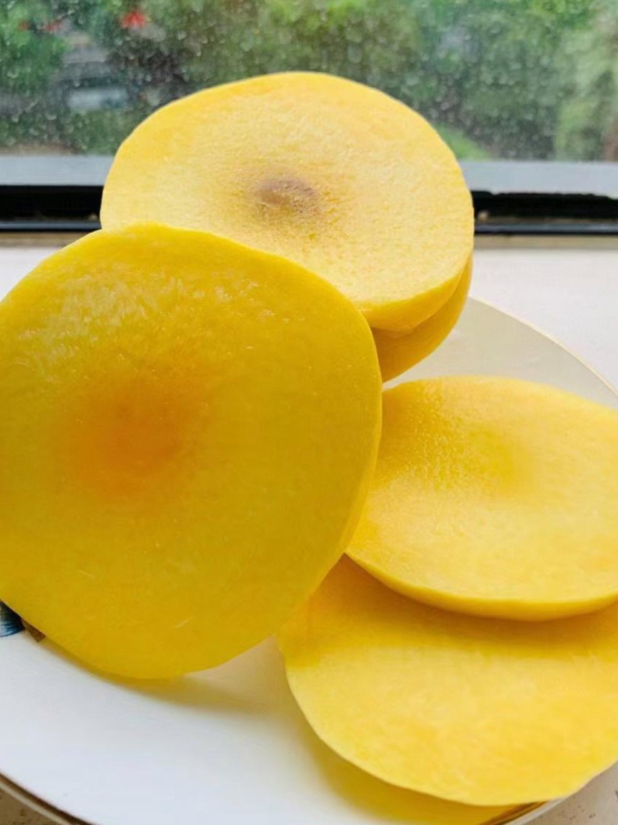 Ivanka Vlainic tweet media