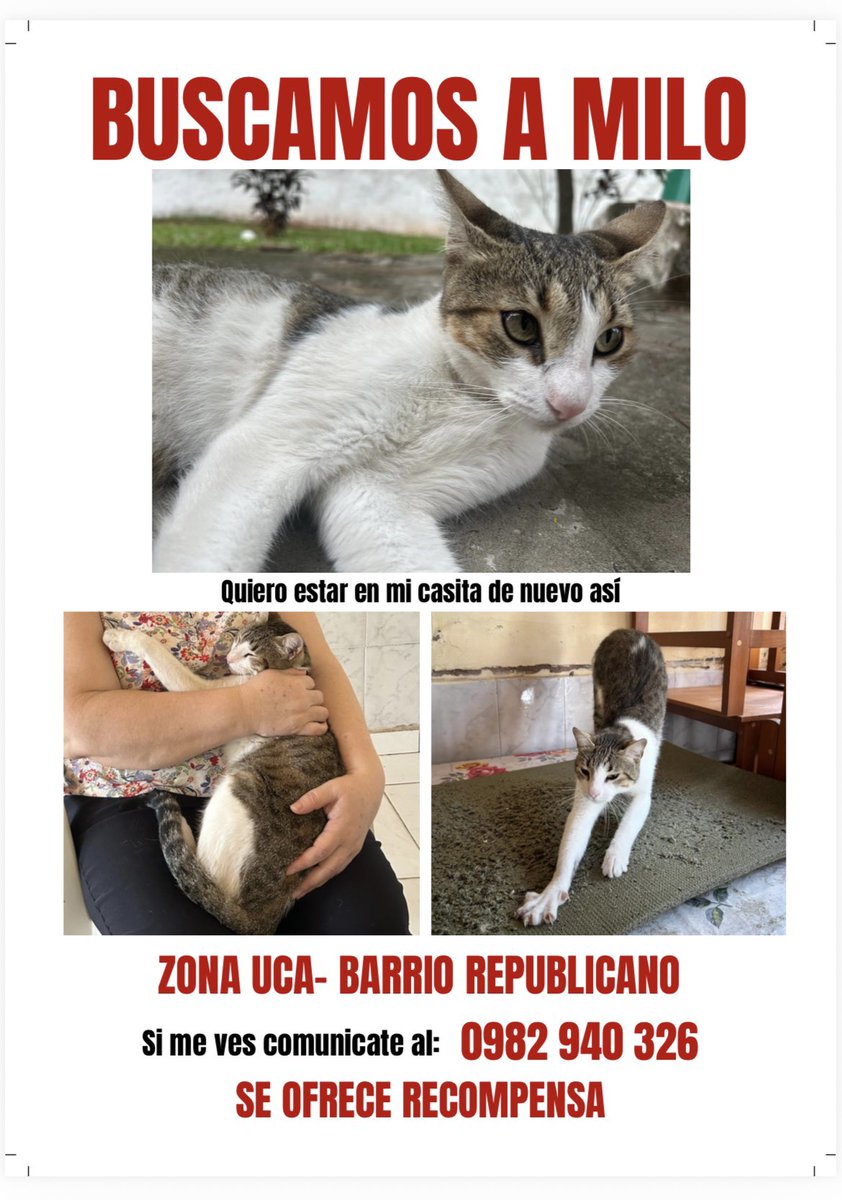 MarcoHuellasPy's tweet photo. Se busca ayuda compartiendo 🙏🐾 https://t.co/6aGjaARjdY