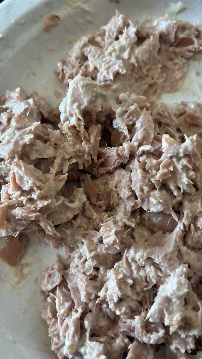 abeltheanswer's tweet photo. My lunch today https://t.co/KtwxBcFU9W