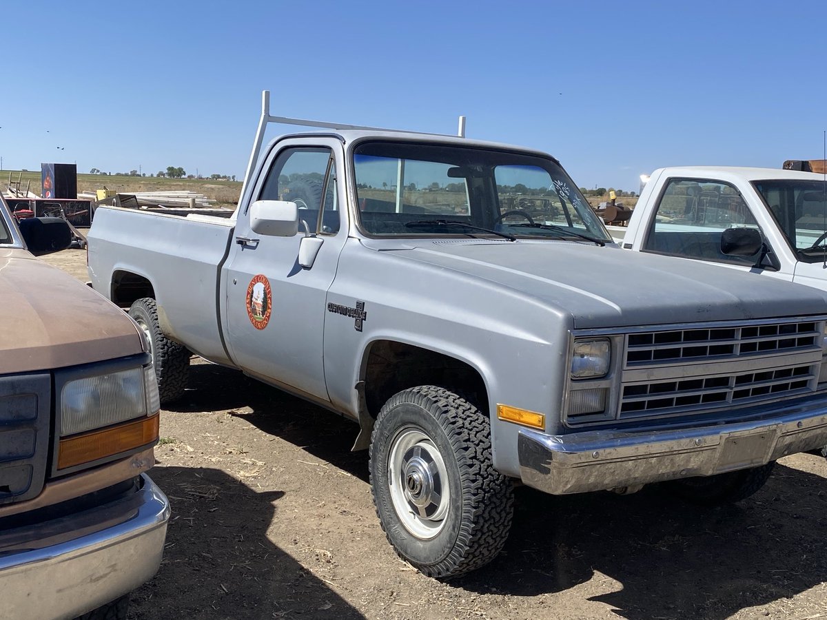 Black Swan Cattle Co. tweet media