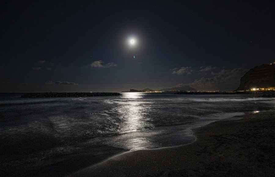 مُستثنى tweet media